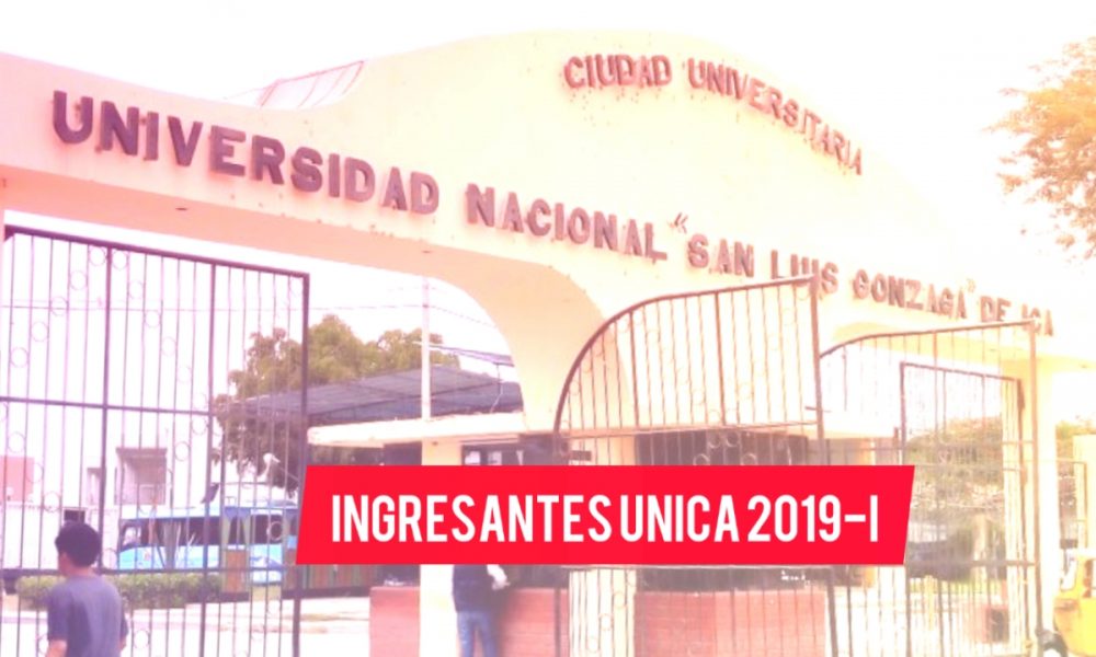 Éstos son los ingresantes a la Universidad San Luis Gonzaga de Ica del