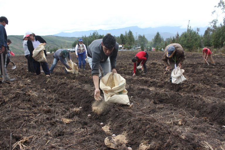 ¿Cuál es el origen del Día del Campesino en el Perú? - Perú