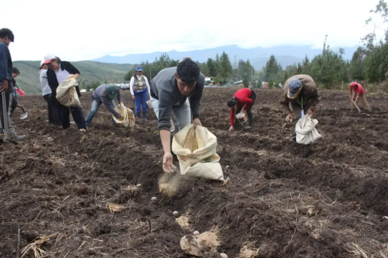 ¿Cuál es el origen del Día del Campesino en el Perú? - Perú