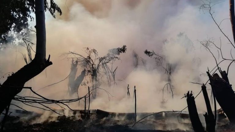 Serfor detecta 3 focos de calor en Ica y 131 a nivel nacional que generarían incendios forestales - Perú