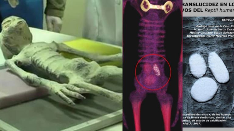 Aseguran que momias humanoides de Nasca tenían huevos en el vientre (fotos) - Perú