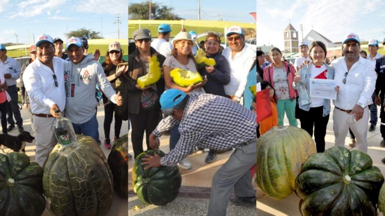 Ica: así se realizó el singular concurso del «Zapallo más grande de Ocucaje» (galería) - Ica