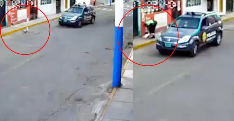Policías intervienen a un pato y se lo llevan en el patrullero (video) - Perú