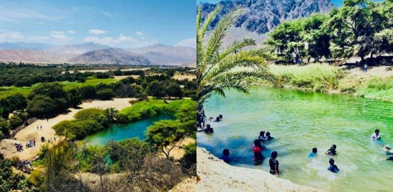 ¡Sorprendente! Así son las cochas de San Pablo, El Ingenio en Nasca (fotos) - Perú