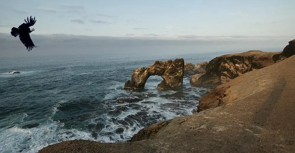 Reserva Nacional San Fernando, Nasca, Ica, Marcona.