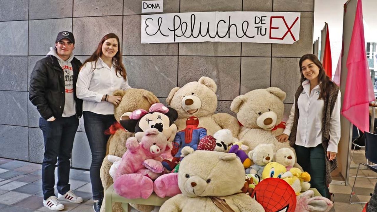 el peluche de
