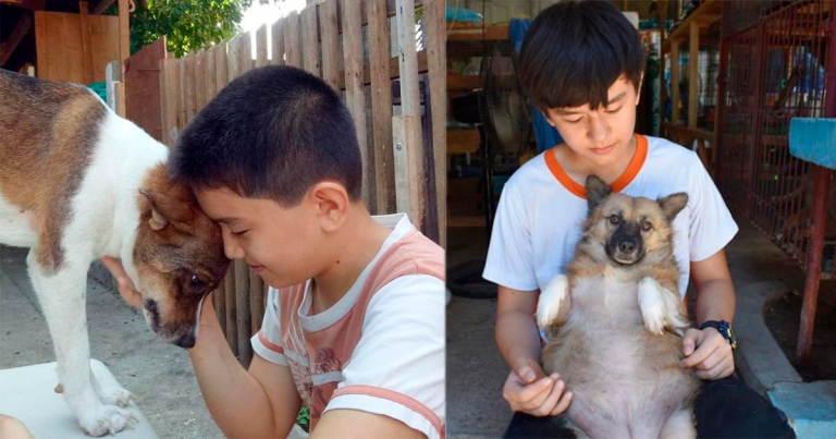 Niño alimentaba a perros sin hogar con sus propinas y ahora tiene su propio albergue - Entretenimiento