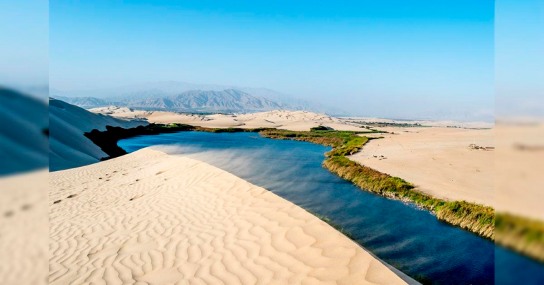 Año Nuevo: Visita la Laguna Morón, un oasis en medio del desierto de Ica - Turismo