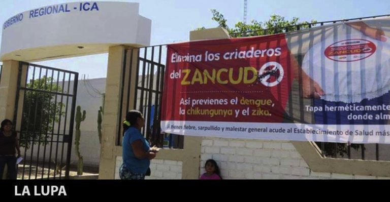 27 casos de dengue en Ica: Inicio año escolar se aplaza hasta el 16 de marzo - Ica