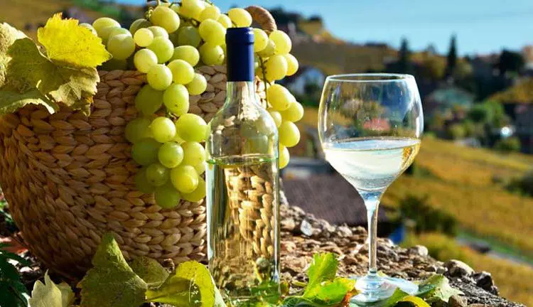 Revalorizar elaboración tradicional del pisco ayudará a consolidar su crecimiento - Perú