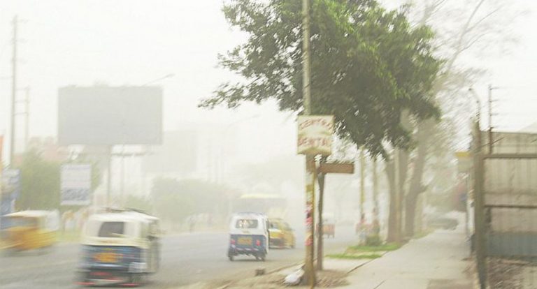 ¡Alerta! fuertes vientos en Ica alcanzarán 50km/h hasta el 5 de marzo - Perú