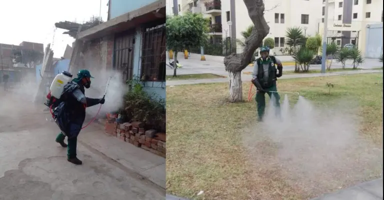 Lima: Distrito de Pueblo Libre se declara en emergencia sanitaria por 90 días - Perú