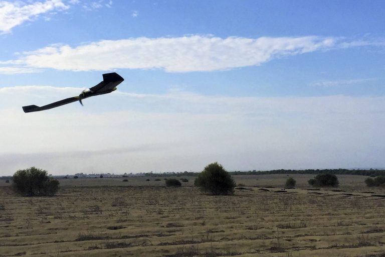 Agricultores de Ica y otras regiones pueden ver gratis sus cultivos por tecnología satelital - Perú