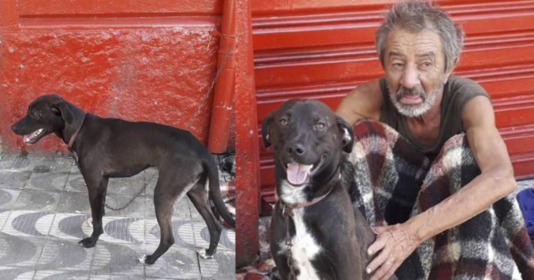 Hombre que vive en las calles pide entre lágrimas que alguien adopte a su perro - Entretenimiento