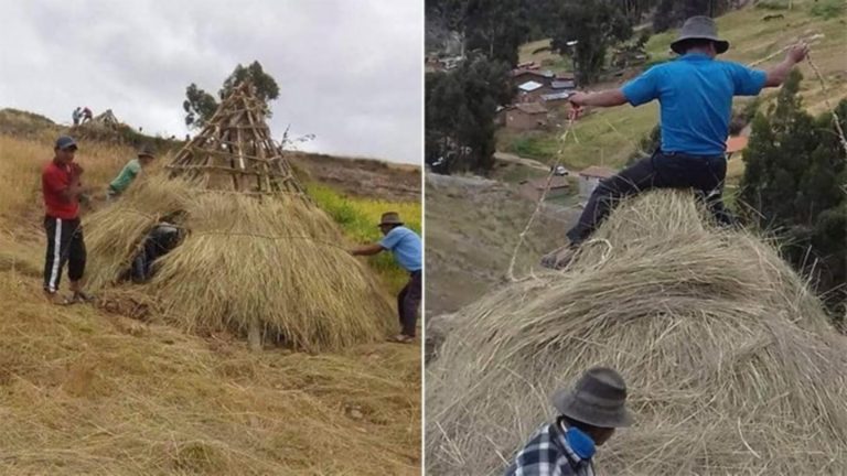 En Ayacucho, pobladores hacen chozas de ichu para que viajeros acaten cuarentena - Entretenimiento