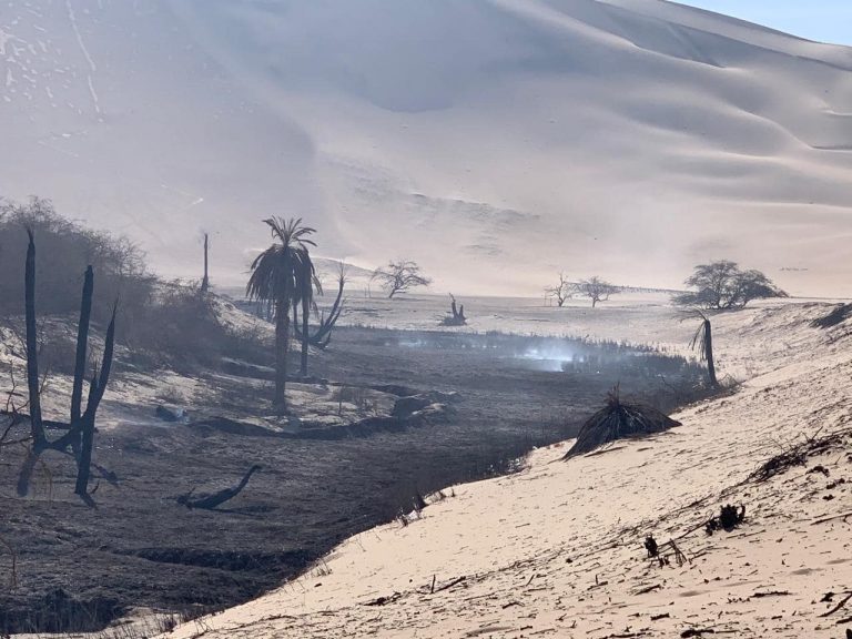 Atentado ecológico en Ica: Incendiaron bosque de huarangos en Orovilca - Perú