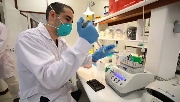 Pruebas moleculares desarrolladas en Perú recién se producirán a fin de año - Perú