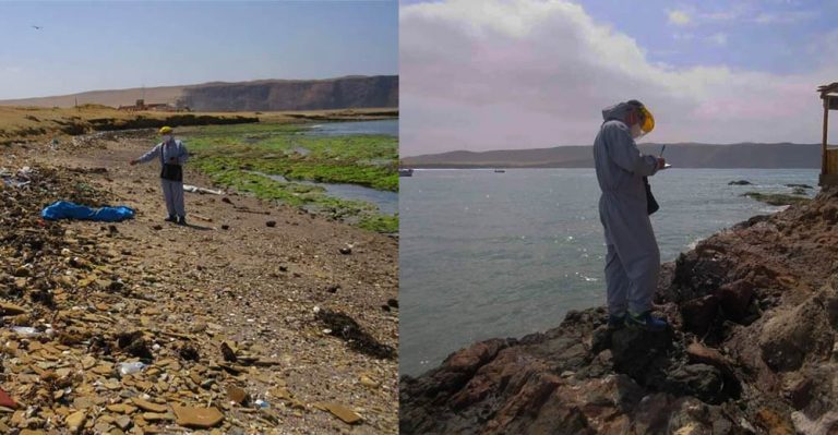 Alerta: Identifican fuentes de contaminación en las playas de Paracas - Perú
