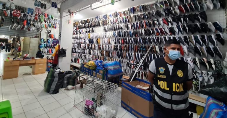 Policía incauta zapatillas bambas que eran vendidas a precios de originales en Ica - Ica