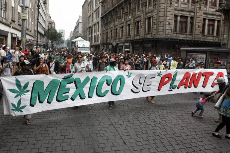 México aprueba legalización del consumo de la Marihuana - Internacional