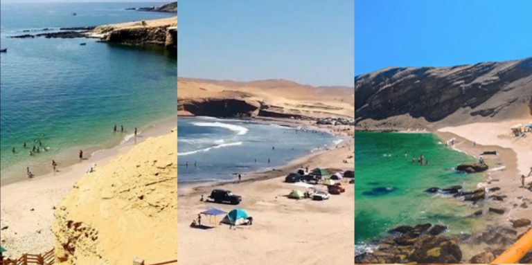 ¡Atención! Estas son las tres únicas playas habilitadas en la Reserva de Paracas - Turismo