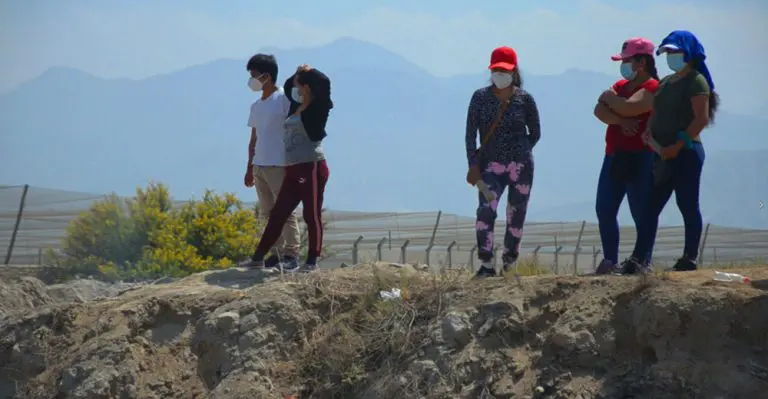 Comisión del Congreso verificará remuneración de las mujeres trabajadoras en los fundos de Ica - Perú