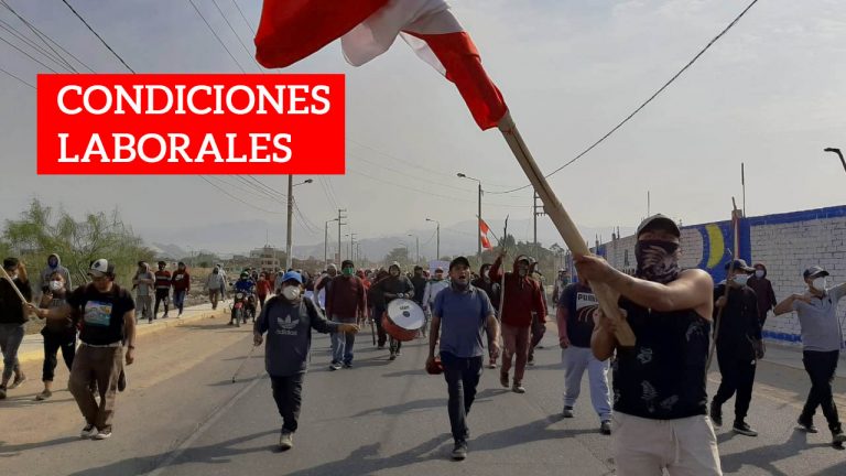 Estas son condiciones laborales de los trabajadores de la agroexportación en Ica - Perú