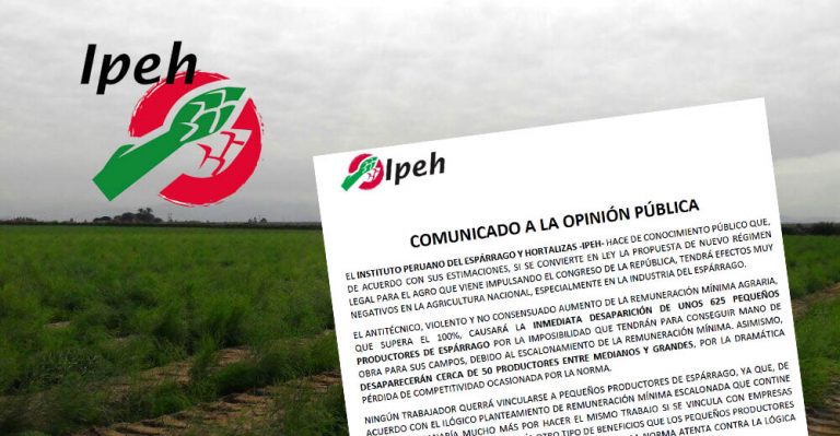 Gremio agroexportador advierte con si aprueban Ley Agraria desaparecerán empresas y sus puestos de empleos - Perú