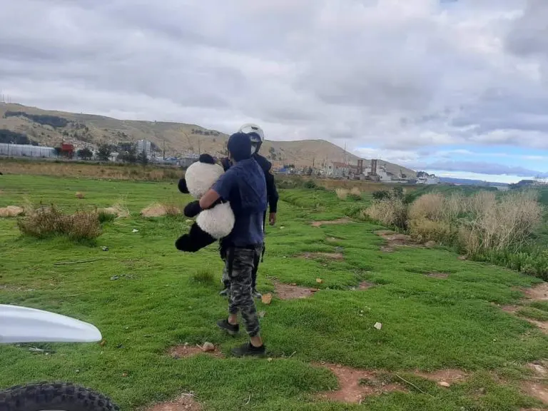 Soldado caído: Serenos socorren a joven que se quedó dormido con su peluche al borde del lago Titicaca - Perú