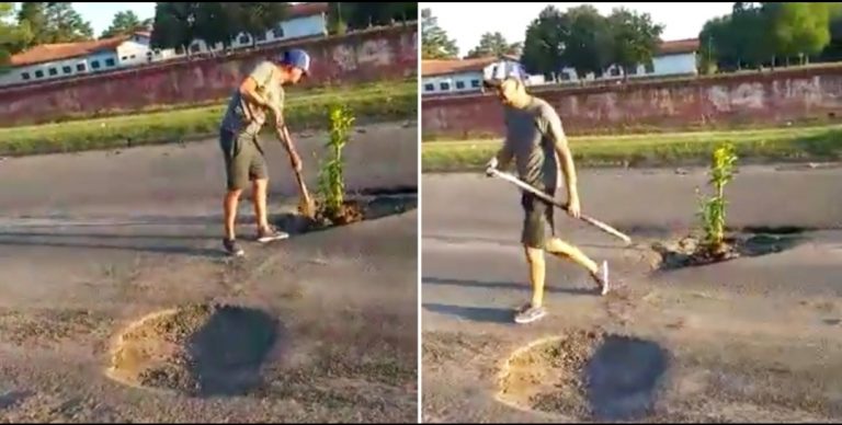 Conductor plantó un árbol en un hueco de pista que le rompió su auto (video) - Entretenimiento