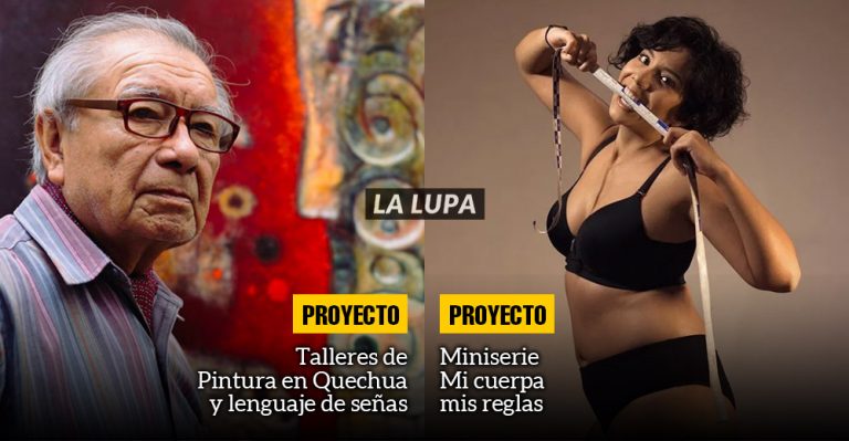 Ministerio de Cultura rechazó proyecto de reconocido pintor para financiar serie de Mayra Couto - Cultura