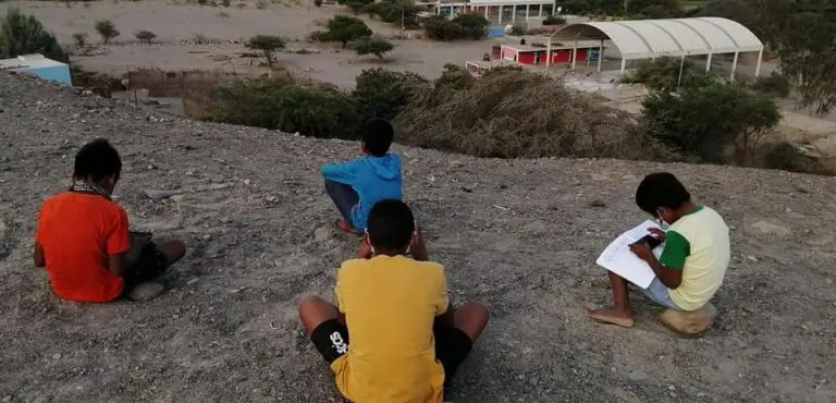 Escolares tienen que subir hasta la cima de un cerro para recibir clases virtuales - Perú