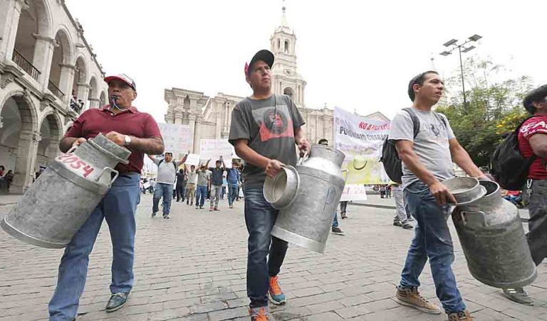 Ganaderos en Arequipa regalarán leche y rematarán vacas por bajo precio del lácteo - Perú