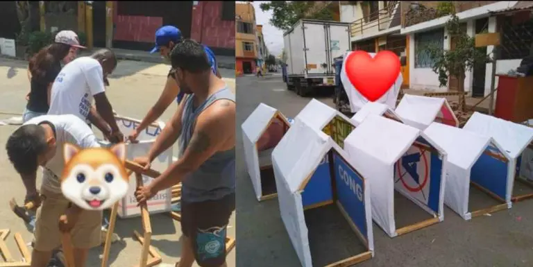 Jóvenes voluntarios de Ica convierten carteles de propaganda política en casitas para perritos de la calle - Ica