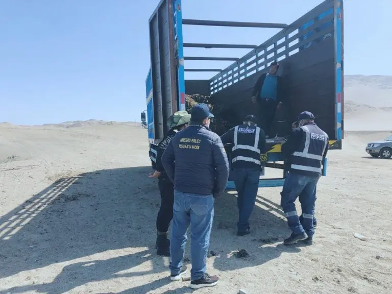 Ica: Realizan operativo contra la pesca ilegal en Marcona - Ica
