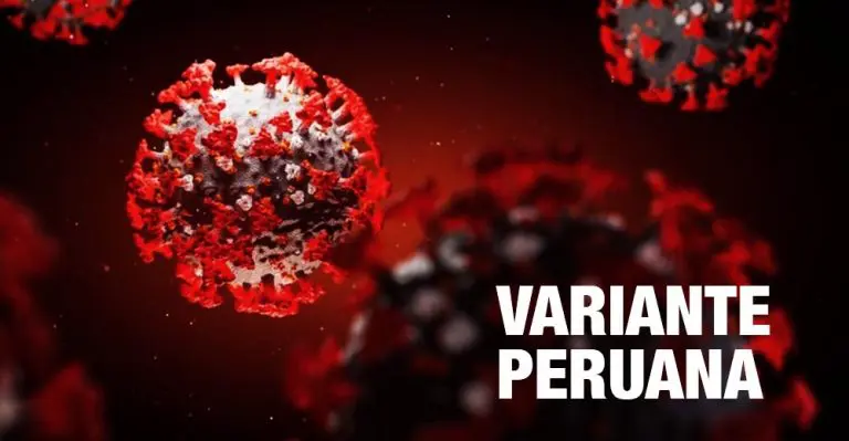 LAMBDA, la variante del coronavirus nacido en Perú y que ya llegó a EE.UU. - Internacional