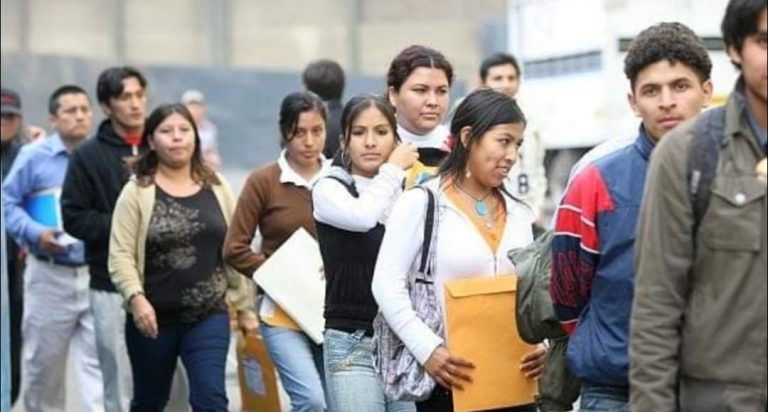 Proponen que periodo de prácticas sean considerados como experiencia laboral - Perú