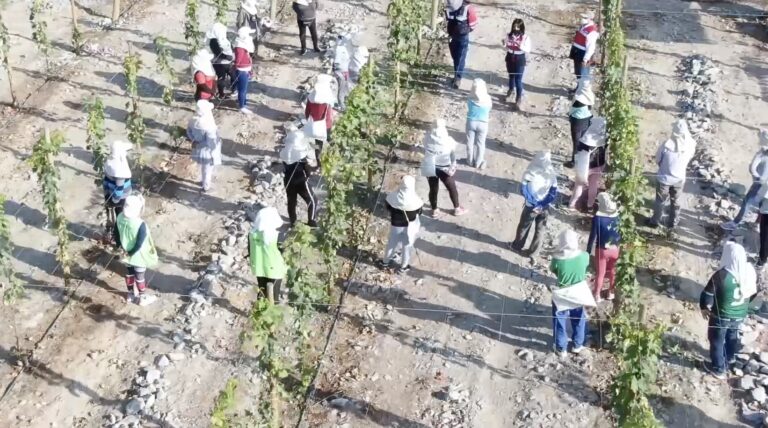SUNAFIL ejecuta fiscalización laboral en 64 empresas agroexportadoras de la región Ica - Perú