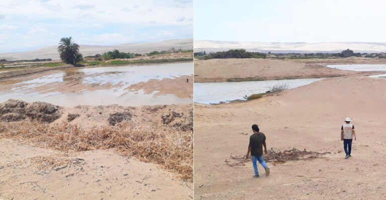 Ministerio de Cultura identifica y denuncia a los que afectaron zona arqueológica Animas Alta en Ica - Cultura
