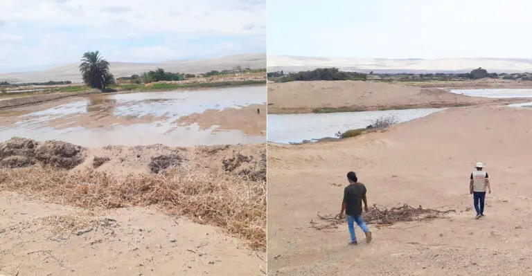 Ministerio de Cultura identifica y denuncia a los que afectaron zona arqueológica Animas Alta en Ica - Cultura
