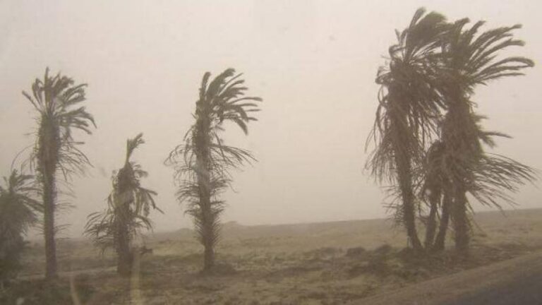 ALERTA: Recomiendan medidas ante fuertes vientos en las costas de Ica, Lima, Callao y Áncash - Perú