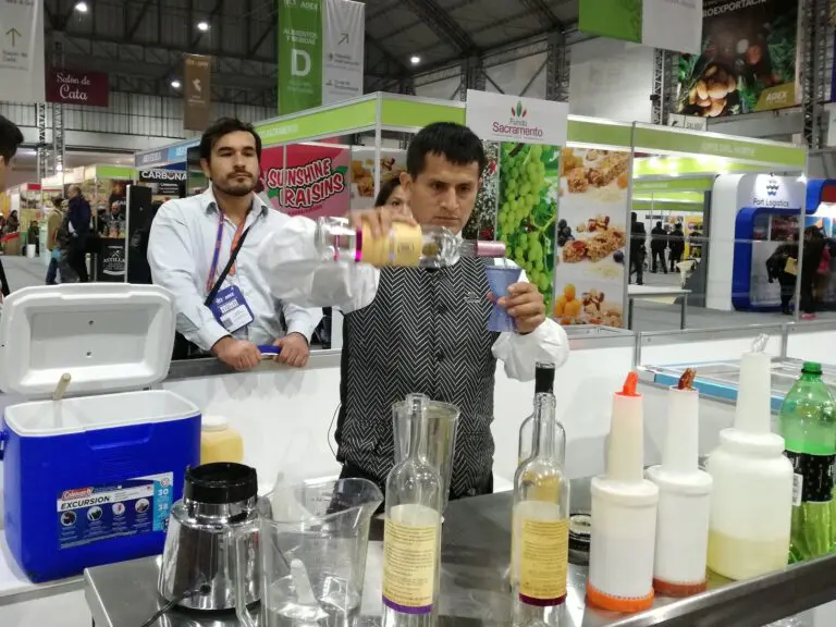 Día Nacional del Pisco: Exportación de nuestro destilado creció en un 87%  hasta mayo 2022 - Perú