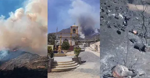 Incendio forestal en Ayacucho, Apurímac y Moquegua: Cientos de animales mueren calcinados