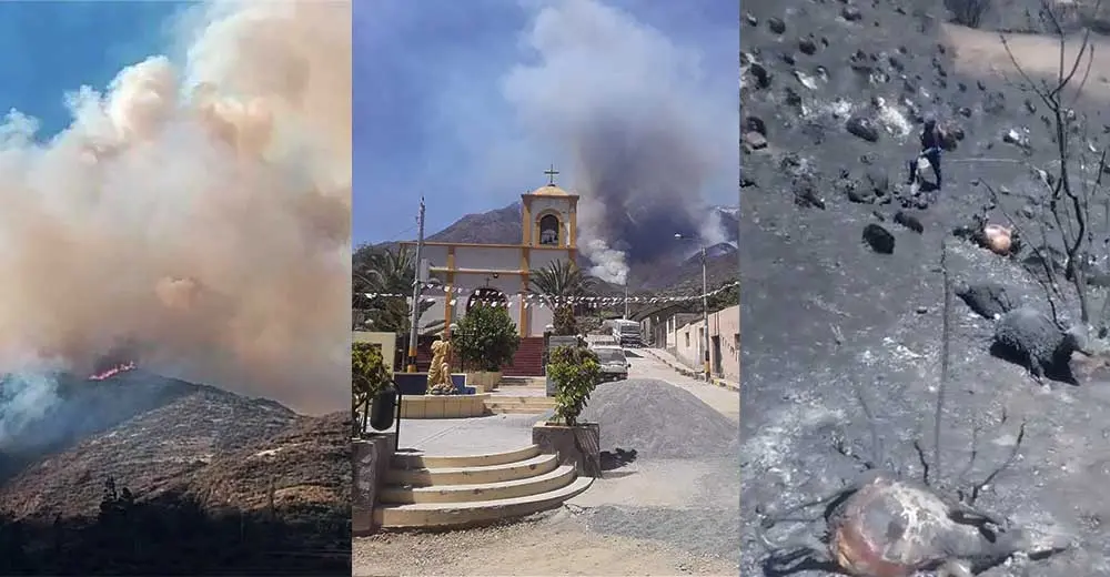 Incendio forestal en Ayacucho, Apurímac y Moquegua: Cientos de animales mueren calcinados