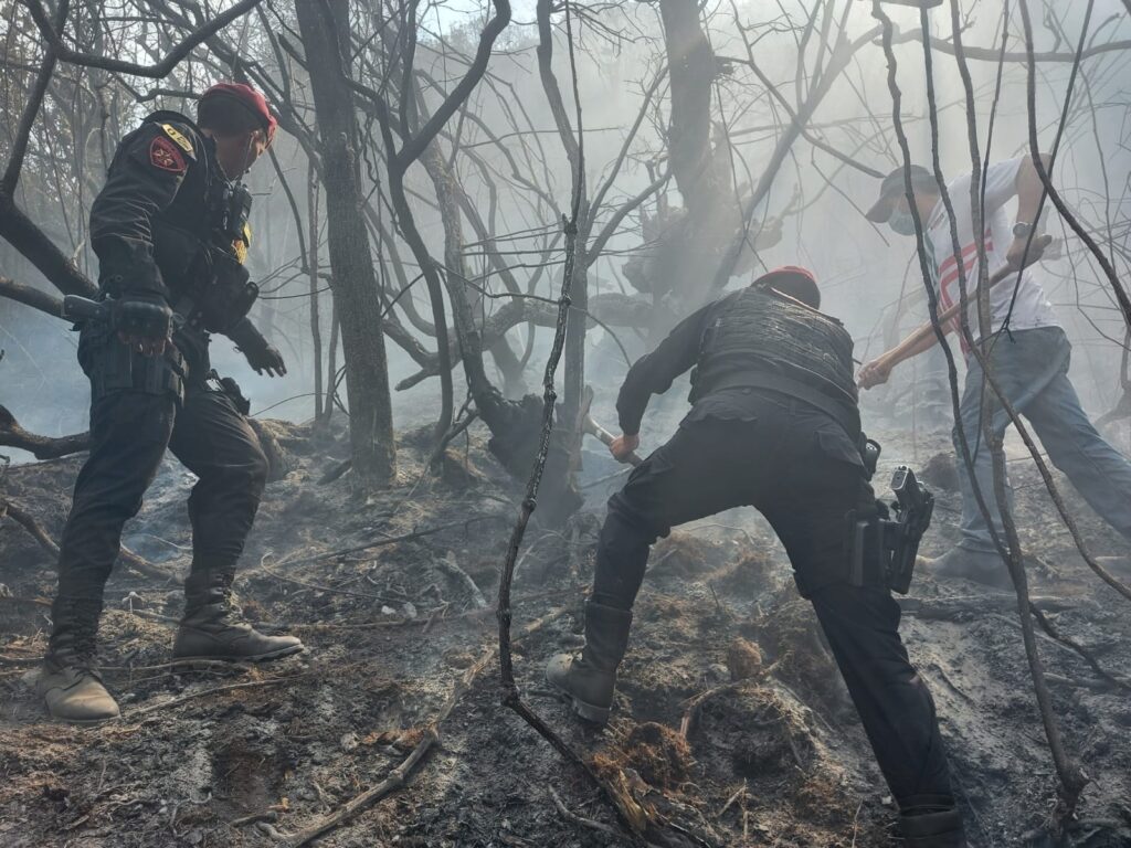 Incendio Forestal En Ayacucho, Apurímac Y Moquegua: Cientos De Animales ...