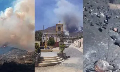 Incendio forestal en Ayacucho, Apurímac y Moquegua: Cientos de animales mueren calcinados