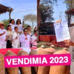Vendimia de Ica 2023: Productores vitivinícola alistan el nuevo rostro del festival