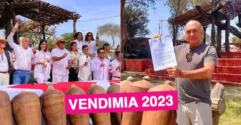 Vendimia de Ica 2023: Productores vitivinícola alistan el nuevo rostro del festival