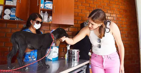Ica: Alcaldesa Emma Mejía inaugura el primer Consultorio Ceterinario Municipal