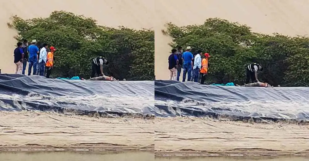 Ica: Joven de 25 años muere ahogado en una poza de geomembrana en Pisco